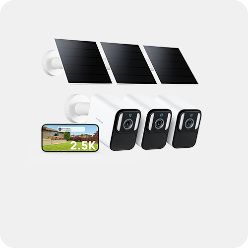 Anona Lucio 3 Packs Banner 3