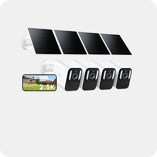 Anona Lucio 4 Packs Banner 4