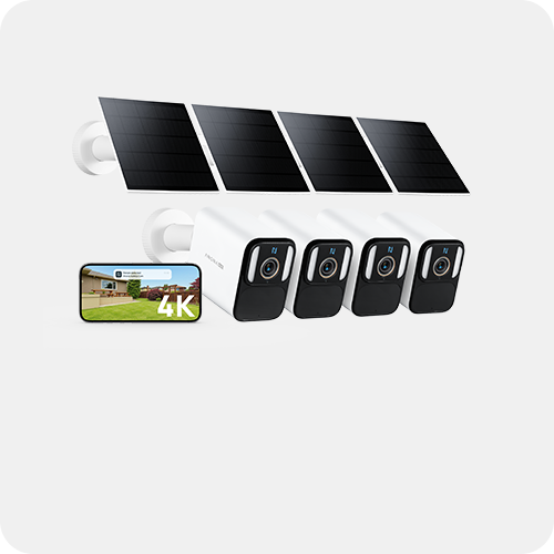 Anona Aurora 4 Packs Banner 4