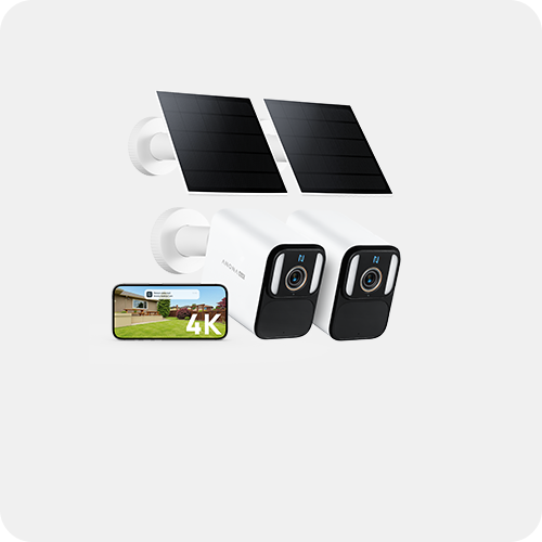 Anona Aurora 2 Packs Banner 2