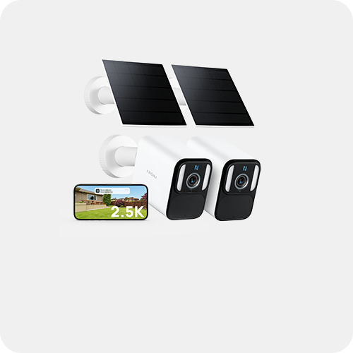 Anona Lucio 2 Packs Banner 2